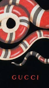 gucci snake wallpapers and