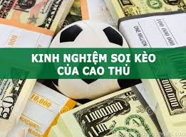 K9Vn Dsaba Thể Thao
