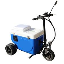 riding coolers purchase a cruzin cooler