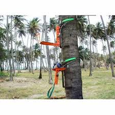 purva farm manually coconut tree