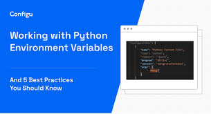 python environment variables