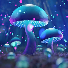 Magic Mushrooms for visuals : r/Aphantasia