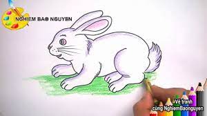 Vẽ con Thỏ/How to Draw Rabbit - YouTube