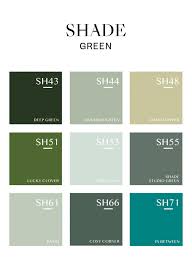 Shade Green Superior Wall Paint