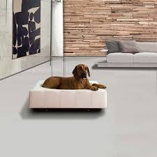 Pet Furniture Or An Exclusive Dog Bed