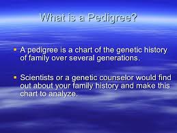 Pedigree Charts Powerpoint