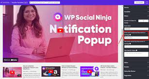 WP Social Ninja gambar png