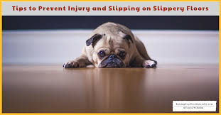are hardwood floors safe for your dog