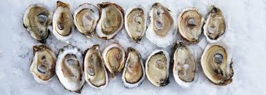 Where are the best East Coast oysters?