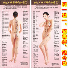 Chinese Medicine Body Meridian Points Standard Big Chart