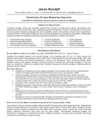 Sales  Marketing and Business Development Director Resume Sample Great Resumes Fast
