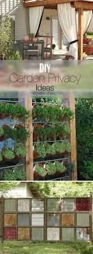 Diy Garden Privacy Ideas Diy Garden