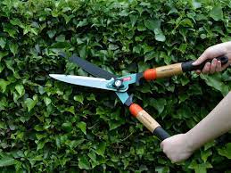 Green Jem Heavy Duty Hedge Shears At