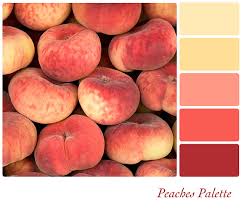6 peach color palette ideas. What Colors Make Peach How To Make Peach Color