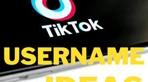 Find the best tik tok names according you. 200 Tiktok Username Ideas And Name Generator Turbofuture