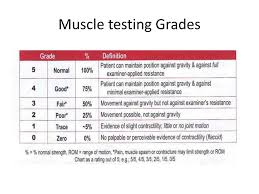 Ppt Muscle Testing Powerpoint Presentation Free Download
