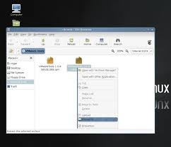 installing linux mint page 4