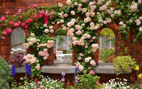 romantic beauty of a splendid rose garden