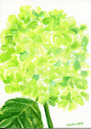 Eur 78.99 to eur 133.61. Hydrangeas Watercolor Painting Original 5 X 7 Lime Green Etsy Hydrangea Painting Flower Art Watercolor Flowers