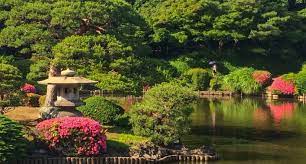 shinjuku gyoen national garden