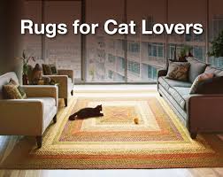 5 rug tips for cat