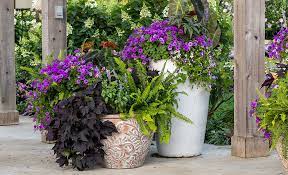 How To Garden In A Small Space The