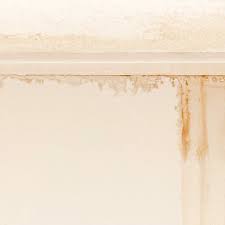 Most ceiling leaks are caused by plumbing problems. What To Do If The Roof Is Leaking During A Storm