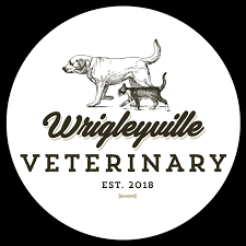 See more ideas about vet clinics, hospital design, veterinary clinic. Veterinarian In Wrigleyville Chicago Animal Hospital In Chicago