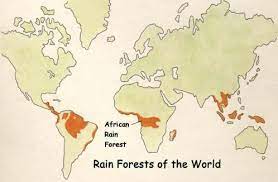 This map shows the location of the wolrd's rainforests. African Rainforest