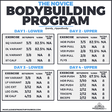 The Novice Bodybuilding Program Rippedbody Com