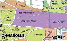 AOC Bonnes-Mares â€“ Burgundy-Report