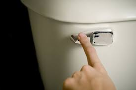 Have you ever been taught how to flush a toilet? How To Flush The Toilet When The Water Is Off