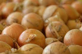 Salmonella outbreak in onions from ...