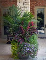 Large Tropical Plants Make A Bold