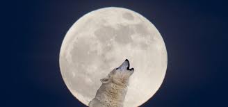 The full moon calendar 2020 and the next full moon including exact date and times are listed below. This Week S Wolf Moon Kicks Off A Year Of Three Supermoons A Blue Moon And A Blood Moon