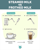 What is the difference between steamed milk and frothed milk?