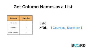 get column names in pandas board infinity