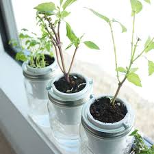 Diy Self Watering Herb Planter Free