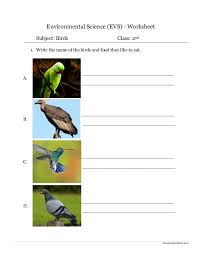 Free interactive exercises to practice online or download as pdf to print. Environmental Science Evs Birds Worksheet Class Ii