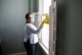 How to clean mold mistakes to avoid angies list via angieslist.com. What Kills Mold Bleach Vs Vinegar