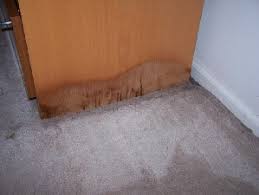 water damaged carpets