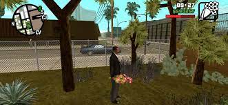 Flowers - GTA: San Andreas Guide - IGN