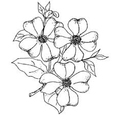 free clipart drawings of flowers free