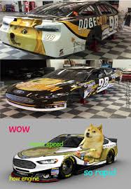 Has led to popular usage of the term doge to refer to dogs in general, particularly when they do things considered weird or funny. Dogecoin Memes Best Collection Of Funny Dogecoin Pictures