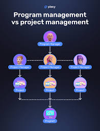 program management vs project