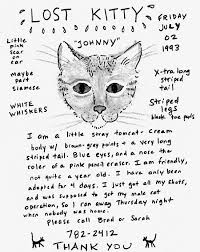 A Heartbreaking Archive Of Missing Pet Posters