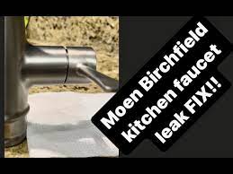 fix leaking moen birchfield kitchen
