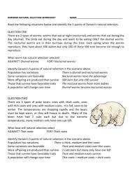 Nocturnal worms identify darwin's 5 points of natural selection in the scenario above. Darwin S Natural Selection Worksheet Answers Natural Selection The Selection Darwin