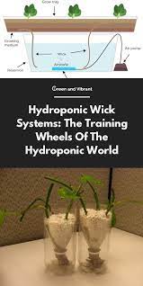 hydroponic wick systems the training