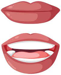 lips clipart vectors ilrations